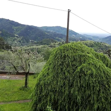 Casa Zita Dei Fiori Holiday home *