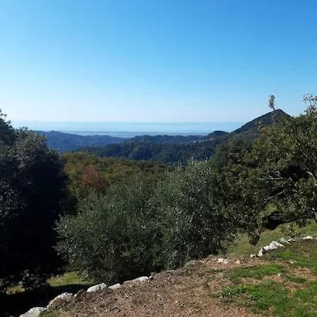 Casa Zita Dei Fiori